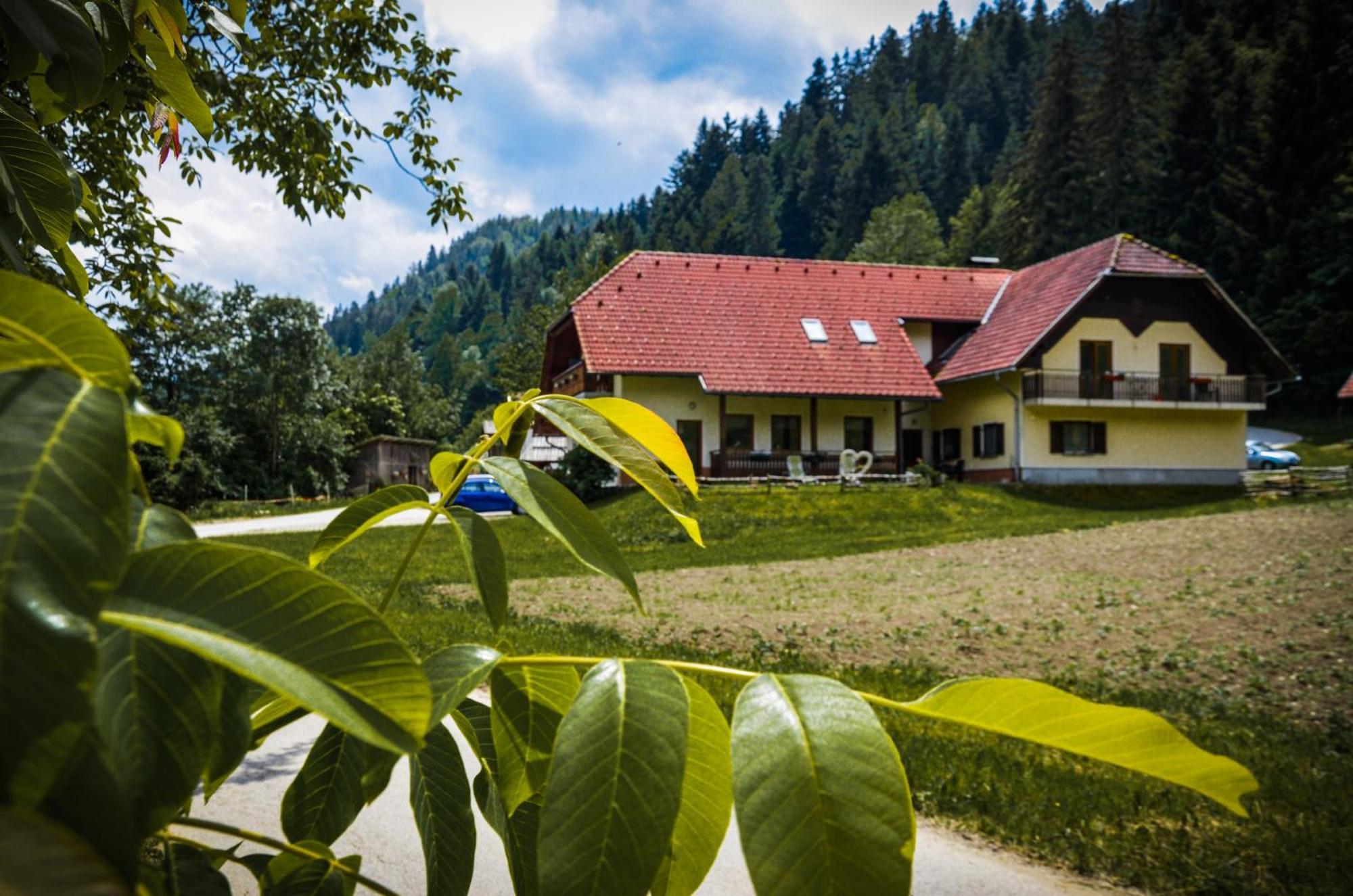 Farm Stay Loger Ljubno Exterior photo